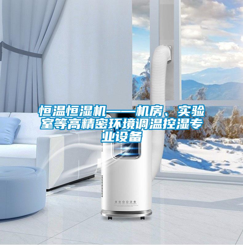 恒溫恒濕機(jī)——機(jī)房、實(shí)驗(yàn)室等高精密環(huán)境調(diào)溫控濕專業(yè)設(shè)備