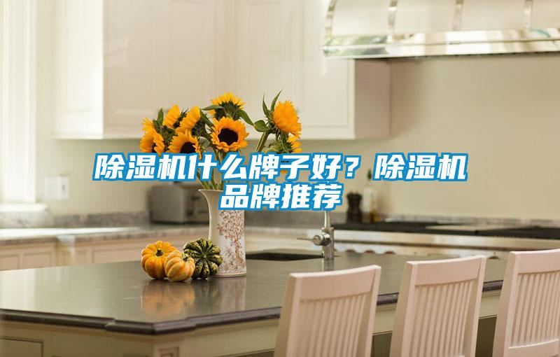 除濕機什么牌子好？除濕機品牌推薦