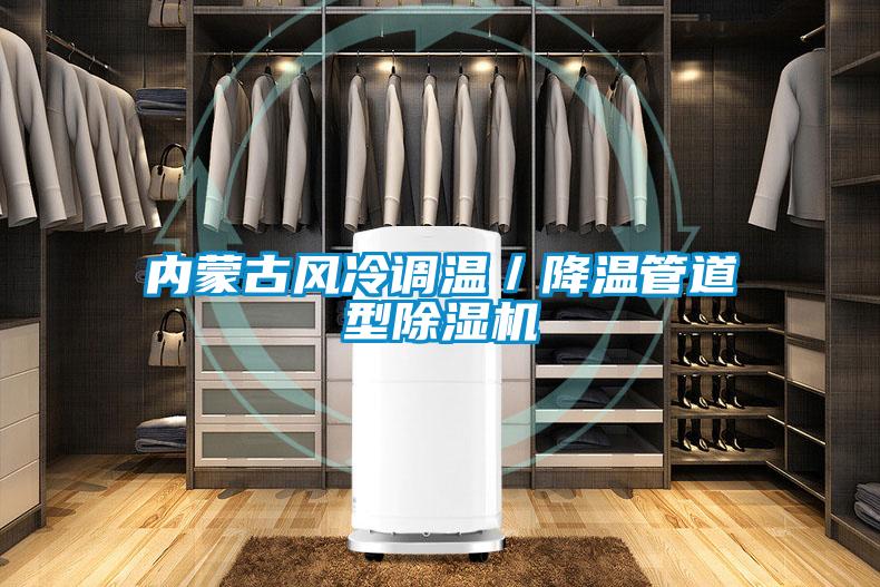 內(nèi)蒙古風(fēng)冷調(diào)溫/降溫管道型除濕機(jī)