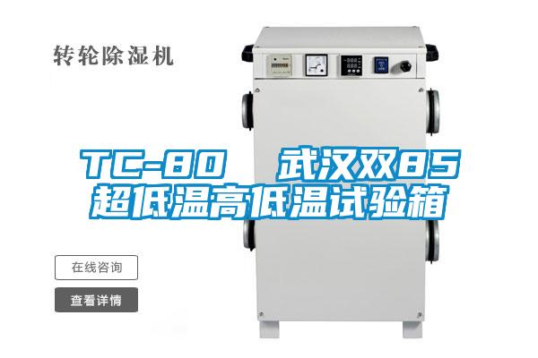TC-80 武漢雙85超低溫高低溫試驗(yàn)箱