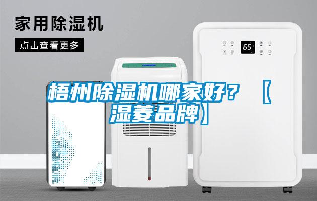 梧州除濕機哪家好？【濕菱品牌】