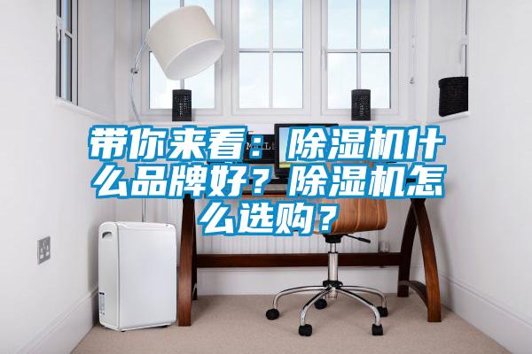 帶你來(lái)看：除濕機(jī)什么品牌好？除濕機(jī)怎么選購(gòu)？