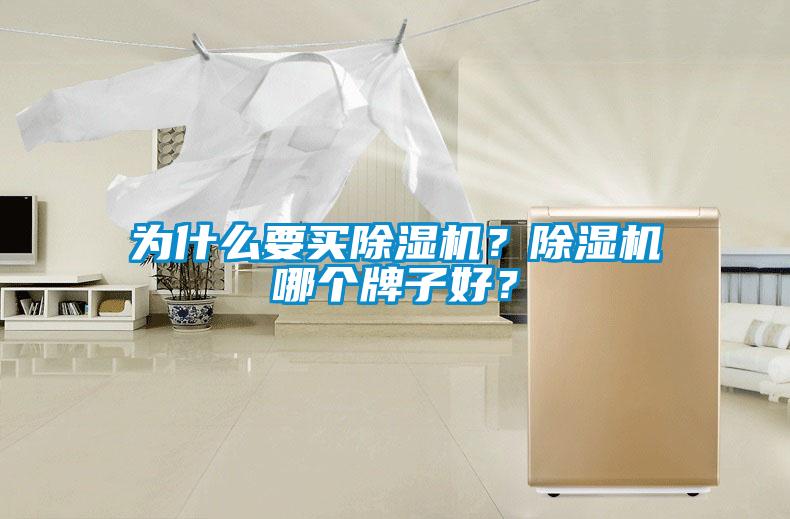 為什么要買除濕機(jī)？除濕機(jī)哪個(gè)牌子好？