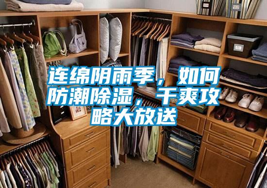 連綿陰雨季，如何防潮除濕，干爽攻略大放送