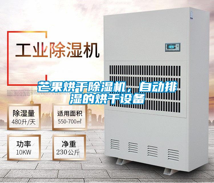 芒果烘干除濕機，自動排濕的烘干設(shè)備