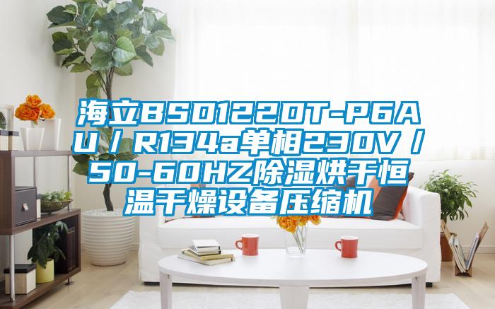 海立BSD122DT-P6AU/R134a單相230V/50-60HZ除濕烘干恒溫干燥設(shè)備壓縮機(jī)