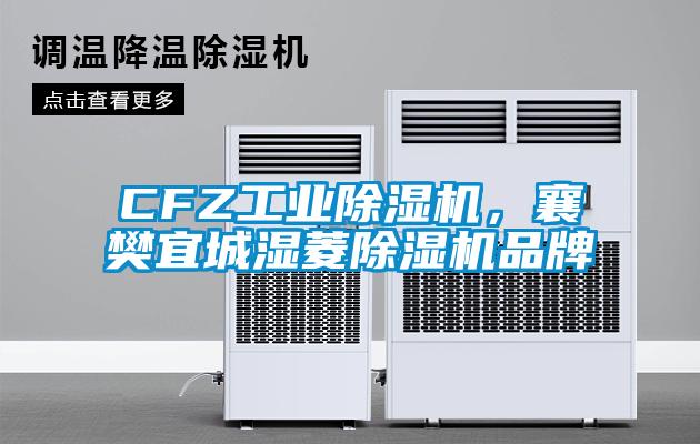 CFZ工業(yè)除濕機，襄樊宜城濕菱除濕機品牌