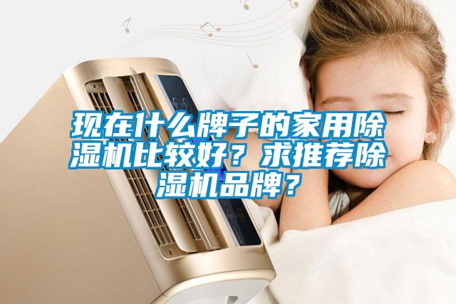 現(xiàn)在什么牌子的家用除濕機比較好？求推薦除濕機品牌？