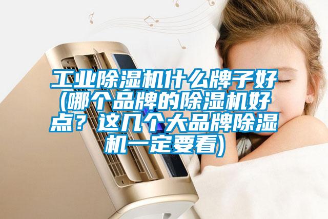 工業(yè)除濕機(jī)什么牌子好(哪個(gè)品牌的除濕機(jī)好點(diǎn)？這幾個(gè)大品牌除濕機(jī)一定要看)