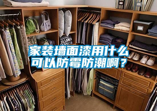 家裝墻面漆用什么可以防霉防潮??？