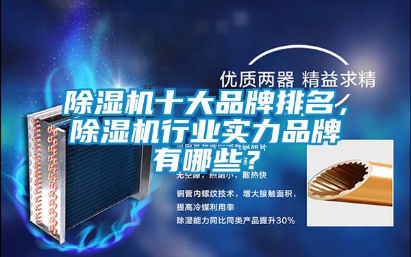 除濕機十大品牌排名，除濕機行業(yè)實力品牌有哪些？