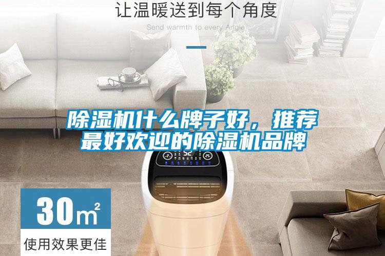 除濕機(jī)什么牌子好，推薦最好歡迎的除濕機(jī)品牌