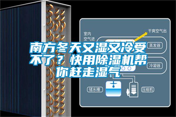 南方冬天又濕又冷受不了？快用除濕機(jī)幫你趕走濕氣
