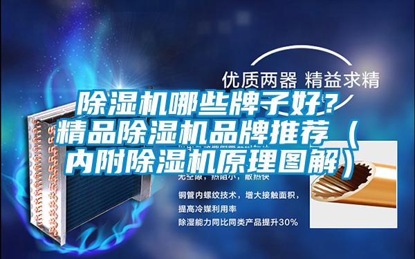 除濕機(jī)哪些牌子好？精品除濕機(jī)品牌推薦（內(nèi)附除濕機(jī)原理圖解）