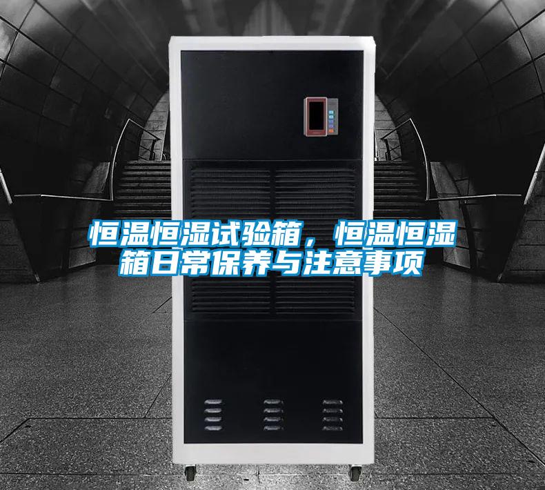 恒溫恒濕試驗箱，恒溫恒濕箱日常保養(yǎng)與注意事項