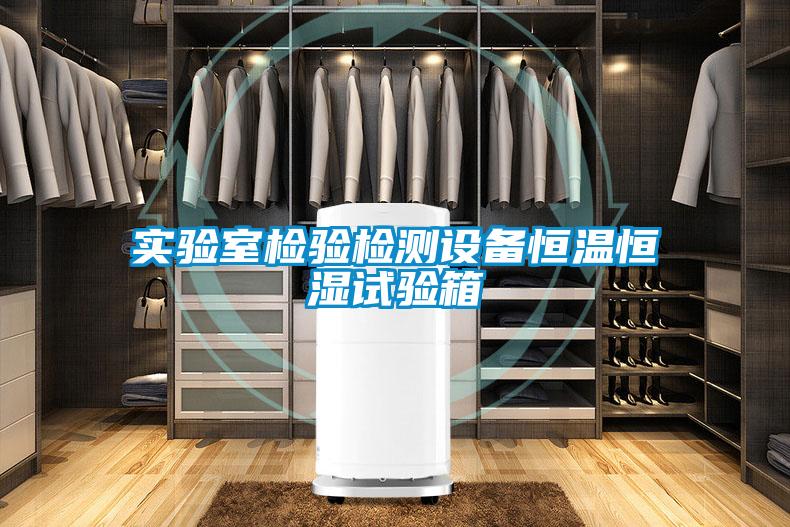實(shí)驗室檢驗檢測設(shè)備恒溫恒濕試驗箱