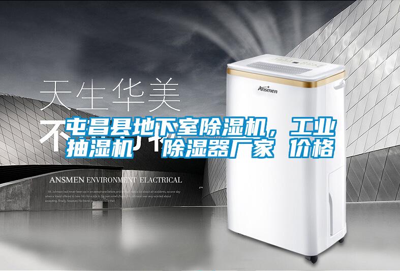 屯昌縣地下室除濕機，工業(yè)抽濕機  除濕器廠家 價格