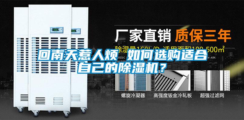 回南天惹人煩 如何選購適合自己的除濕機？