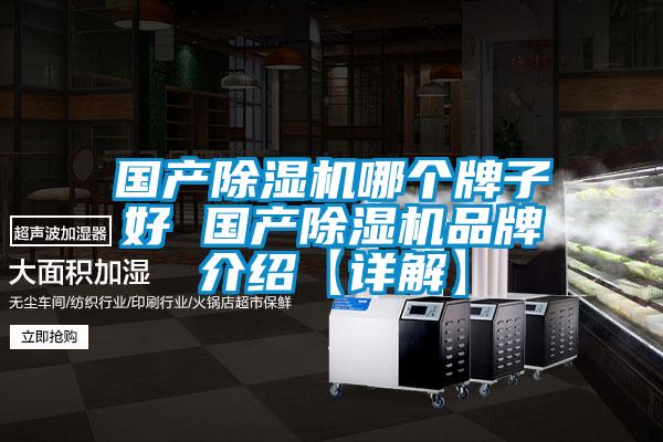 國(guó)產(chǎn)除濕機(jī)哪個(gè)牌子好 國(guó)產(chǎn)除濕機(jī)品牌介紹【詳解】