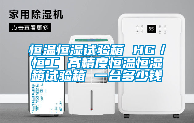 恒溫恒濕試驗(yàn)箱 HG/恒工 高精度恒溫恒濕箱試驗(yàn)箱 一臺(tái)多少錢