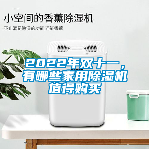 2022年雙十一，有哪些家用除濕機值得購買