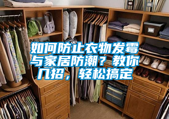 如何防止衣物發(fā)霉與家居防潮？教你幾招，輕松搞定