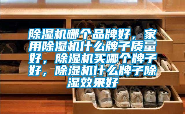 除濕機(jī)哪個(gè)品牌好，家用除濕機(jī)什么牌子質(zhì)量好，除濕機(jī)買(mǎi)哪個(gè)牌子好，除濕機(jī)什么牌子除濕效果好