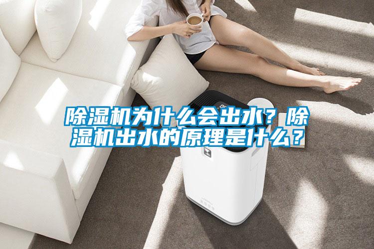 除濕機為什么會出水？除濕機出水的原理是什么？
