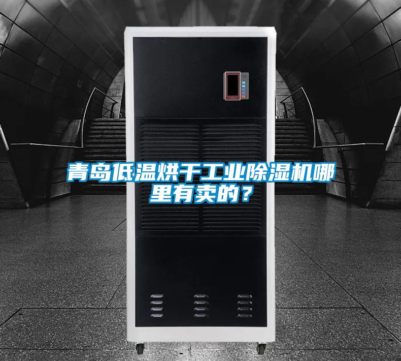 青島低溫烘干工業(yè)除濕機(jī)哪里有賣的？