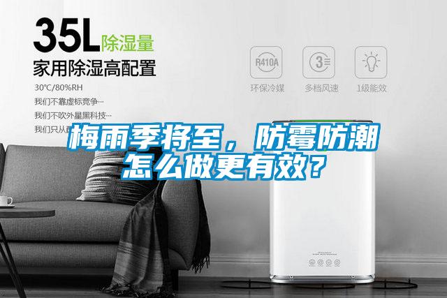 梅雨季將至，防霉防潮怎么做更有效？