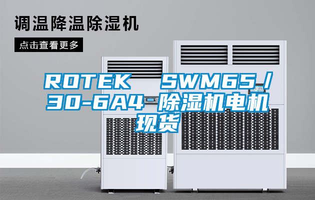 ROTEK SWM65/30-6A4 除濕機(jī)電機(jī)現(xiàn)貨