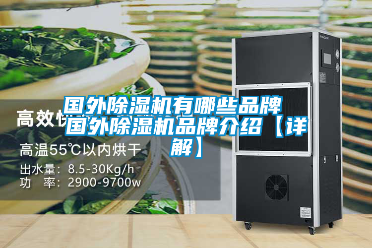 國外除濕機(jī)有哪些品牌 國外除濕機(jī)品牌介紹【詳解】
