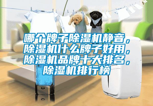 哪個(gè)牌子除濕機(jī)靜音，除濕機(jī)什么牌子好用，除濕機(jī)品牌十大排名，除濕機(jī)排行榜