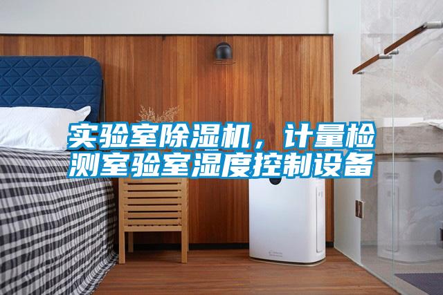 實驗室除濕機，計量檢測室驗室濕度控制設(shè)備