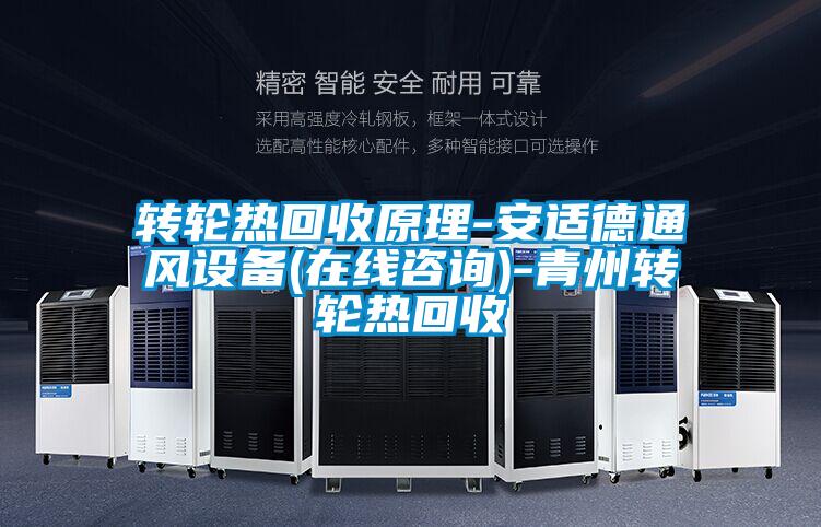 轉(zhuǎn)輪熱回收原理-安適德通風設備(在線咨詢)-青州轉(zhuǎn)輪熱回收