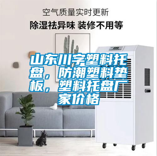 山東川字塑料托盤，防潮塑料墊板，塑料托盤廠家價格