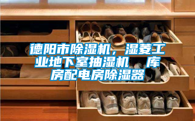 德陽市除濕機，濕菱工業(yè)地下室抽濕機  庫房配電房除濕器