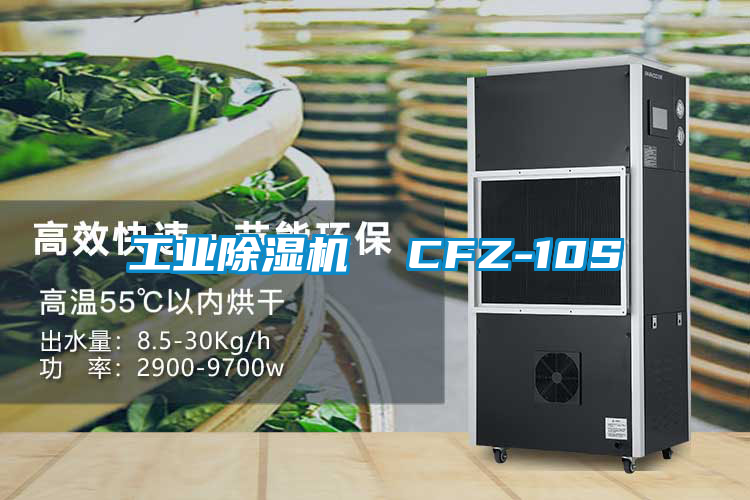 工業(yè)除濕機 CFZ-10S