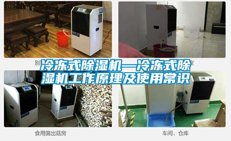 冷凍式除濕機—冷凍式除濕機工作原理及使用常識