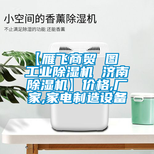 【雁飛商貿(mào) 圖  工業(yè)除濕機 濟南除濕機】價格,廠家,家電制造設備