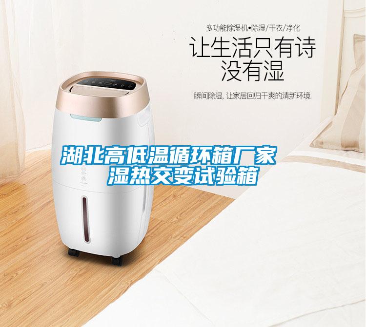 湖北高低溫循環(huán)箱廠家 濕熱交變試驗(yàn)箱