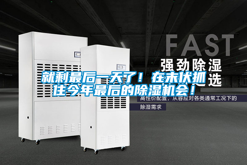 就剩最后一天了！在末伏抓住今年最后的除濕機(jī)會！