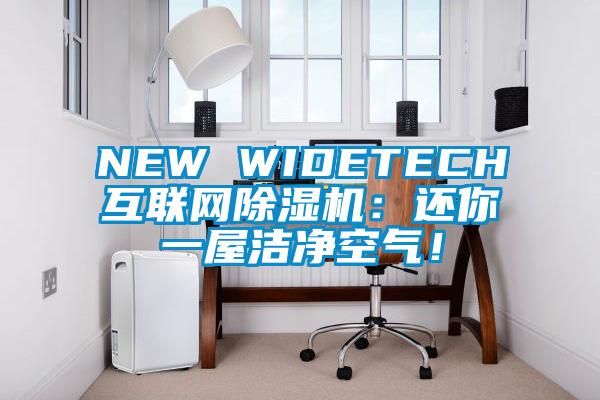 NEW WIDETECH互聯(lián)網(wǎng)除濕機(jī)：還你一屋潔凈空氣！