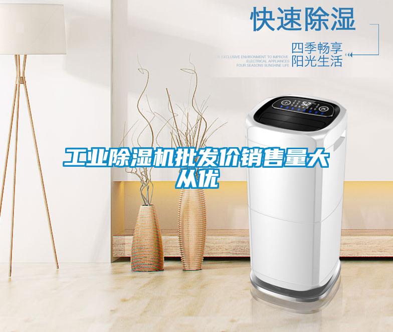 工業(yè)除濕機(jī)批發(fā)價銷售量大從優(yōu)