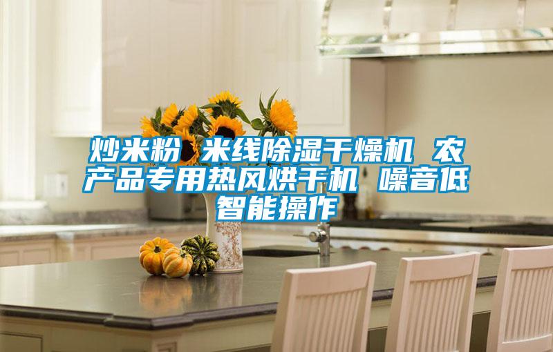 炒米粉 米線(xiàn)除濕干燥機(jī) 農(nóng)產(chǎn)品專(zhuān)用熱風(fēng)烘干機(jī) 噪音低智能操作