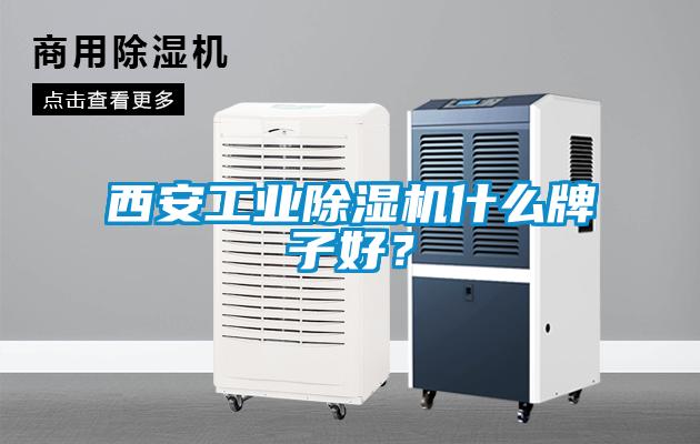 西安工業(yè)除濕機什么牌子好?