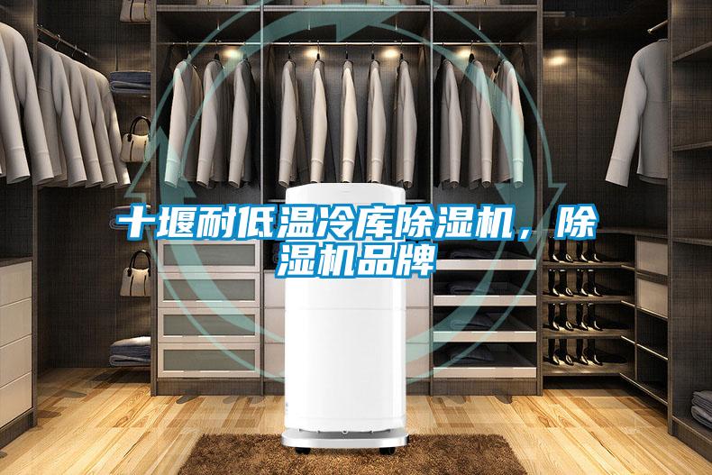 十堰耐低溫冷庫除濕機，除濕機品牌