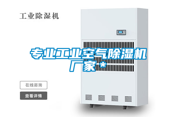 專業(yè)工業(yè)空氣除濕機廠家*