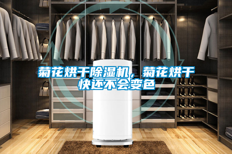 菊花烘干除濕機(jī)，菊花烘干快還不會(huì)變色