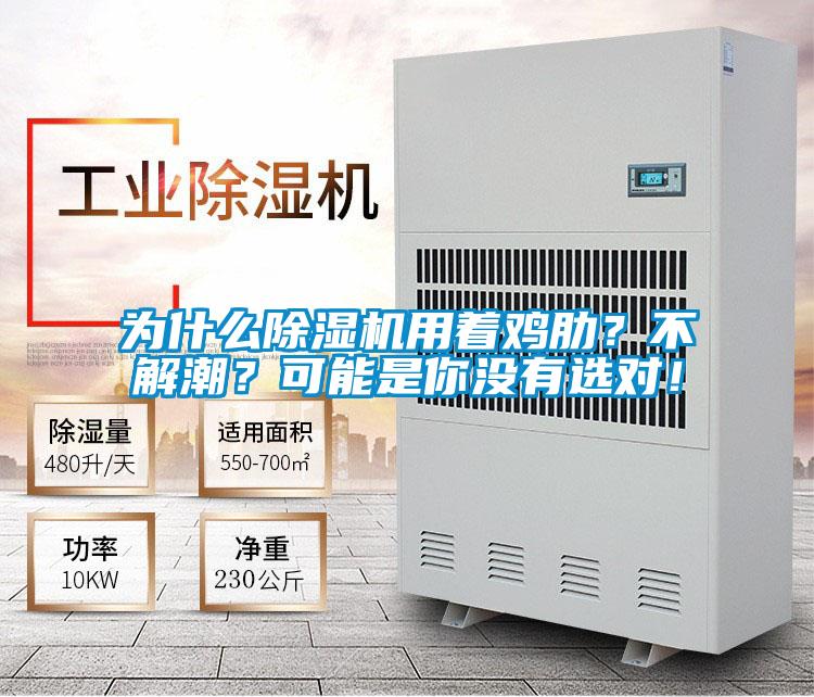 為什么除濕機用著雞肋？不解潮？可能是你沒有選對！